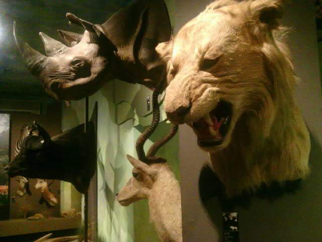 10941216_765381086881533_4797453873529683375_n