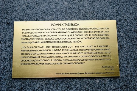 Unity czy pomnik tasiemca