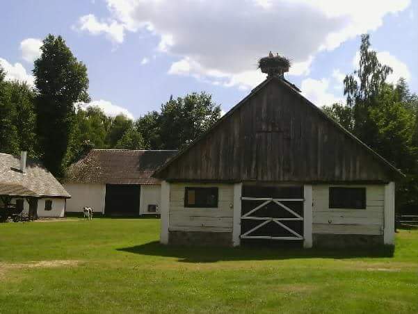 10848064_763110170411399_7133830285607657361_n