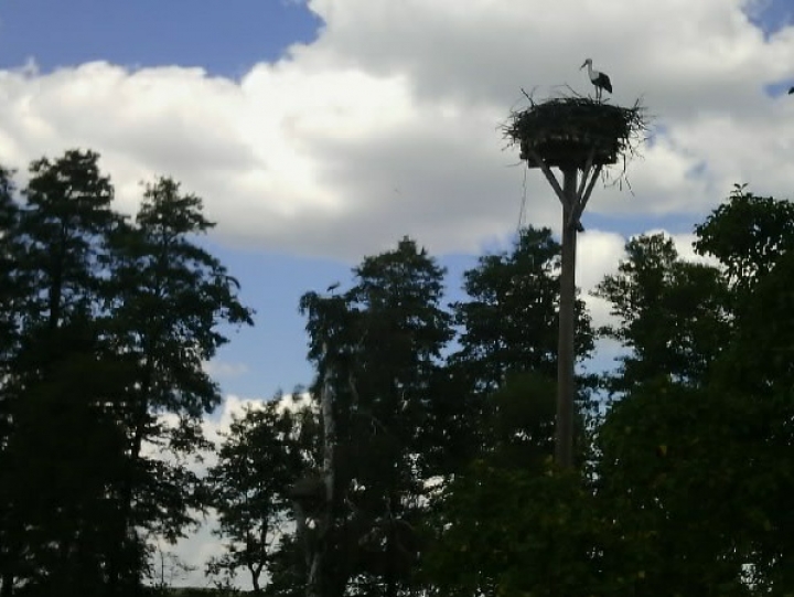 5729-pentowo-europejska-wioska-bociania-5