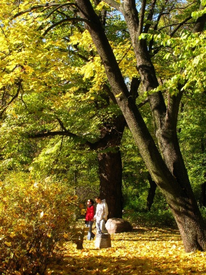6697-warszawa-w-obiektywie-kolekcja-albumow-zielony-oddech-warszawy-park-praski-5