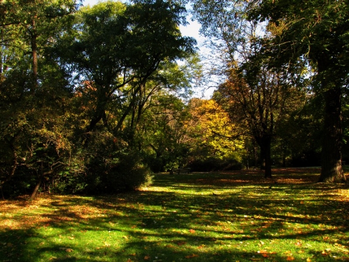 6702-warszawa-w-obiektywie-kolekcja-albumow-zielony-oddech-warszawy-park-praski-5