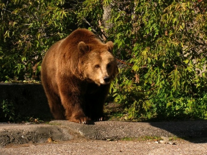 Warszawa Park Praski
