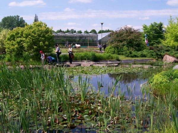 FB_IMG_1463926744498