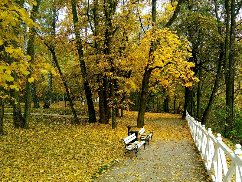 Winiary park pałacowy
