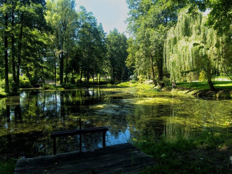 IMG_20170730_123545-01