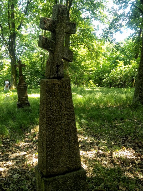 IMG_20170604_125653-01-01