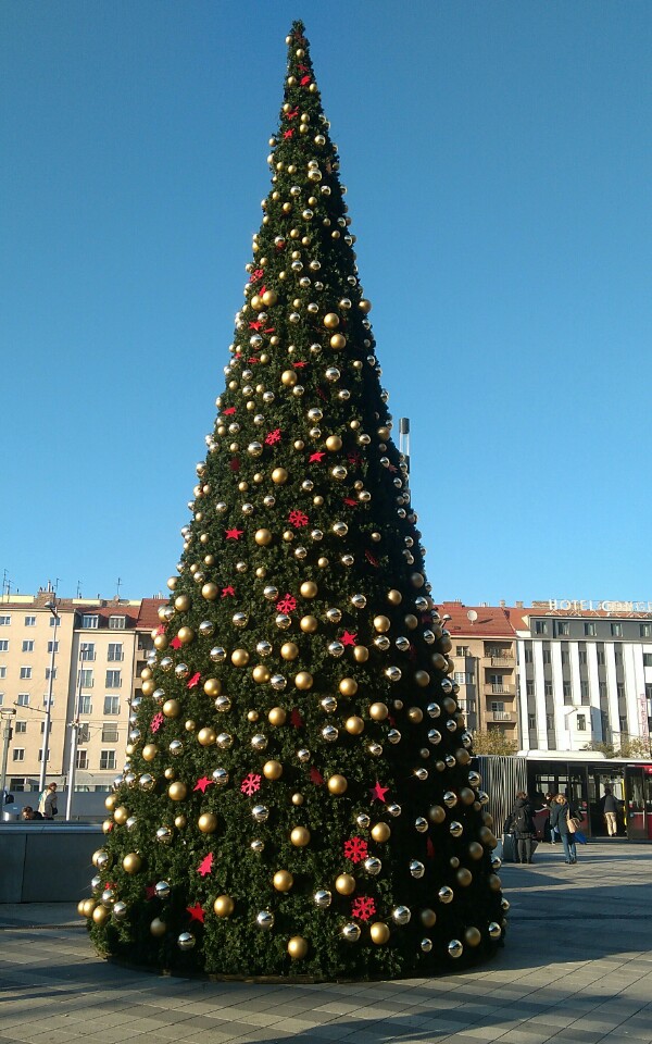 WIEDEŃ. CHOINKA ŚWIĄTECZNA PRZED HAUPTBANHOF. Foto: Liliana Kołłątaj
