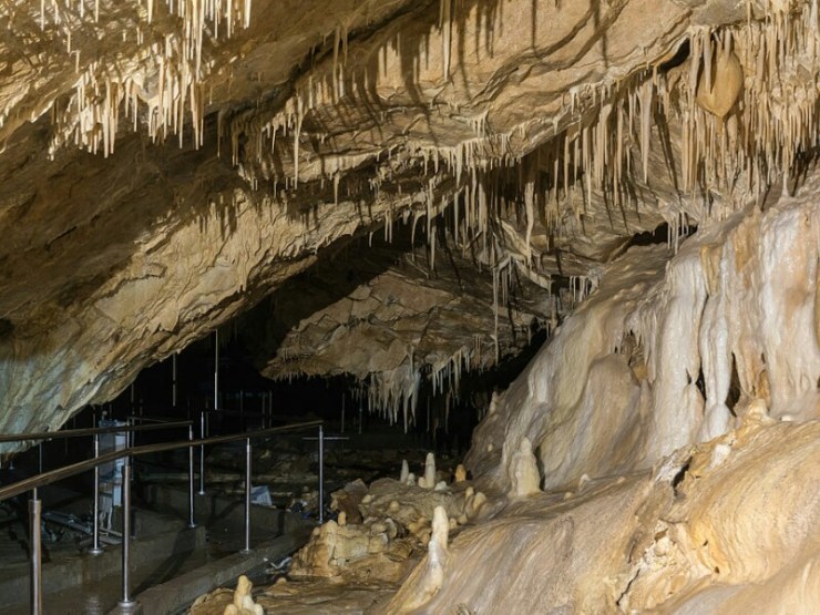 JASKINIA NIEDŹWIEDZIA