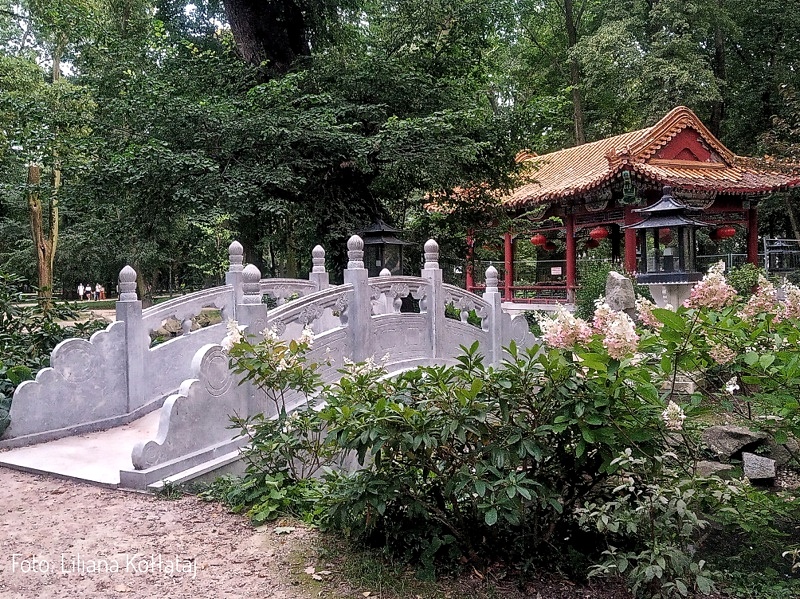 Łazienki Królewskie Ogród Chiński