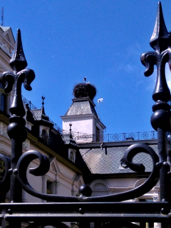 Supraśl pałac Buchholtzów 02