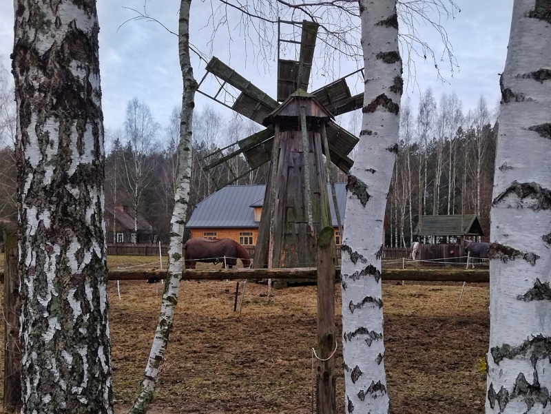 Wasilków skansen wiatrak i stadnina