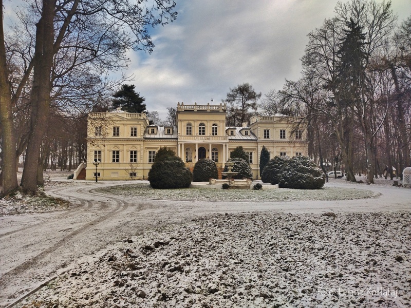 Wola Chojnata Pałac Chojnata