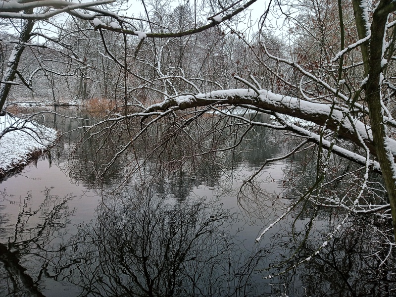 Zaborów staw w parku pałacowym