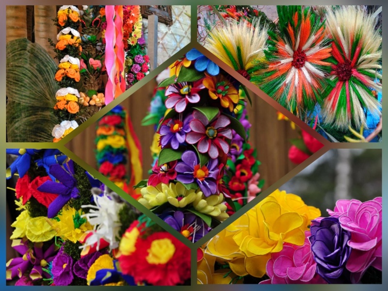 Kurpiowskie Palmy baner na bloga