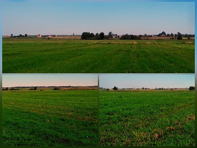 Krajobrazy Woli Okrzejskiej