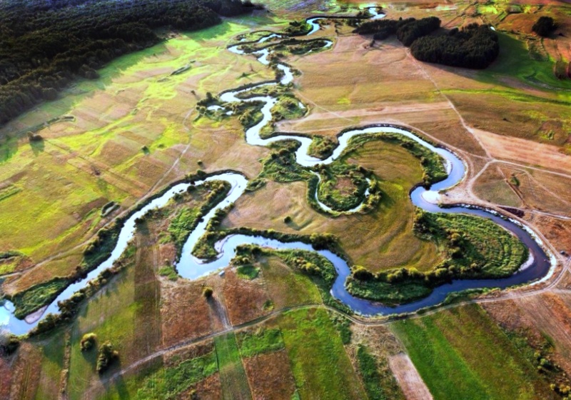 Liwiec z lotu ptaka foto Ryszard Sakowski