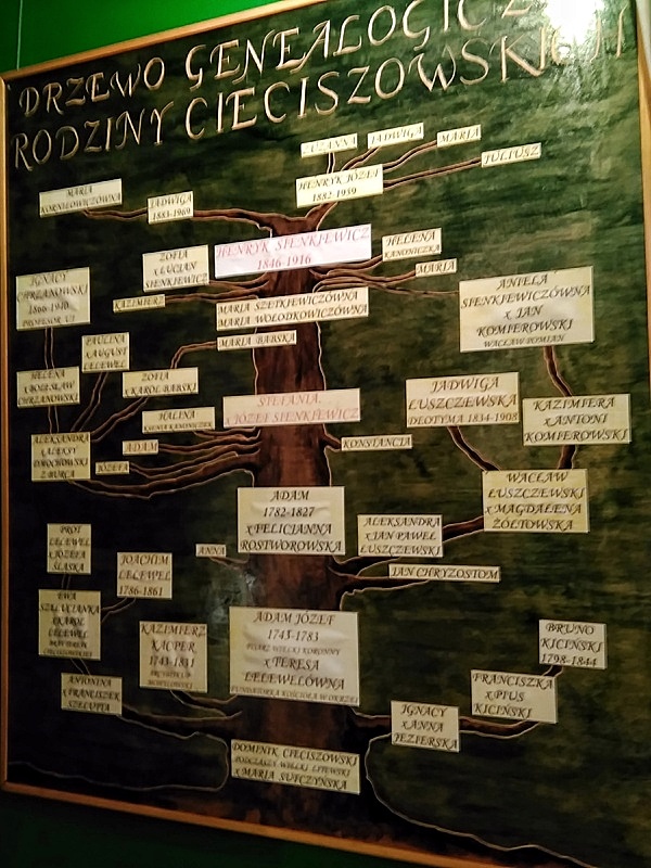 Wola Okrzejska drzewo genealogiczne