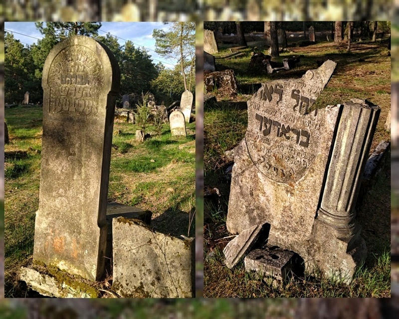 Anielin Cmentarz Żydowski 010