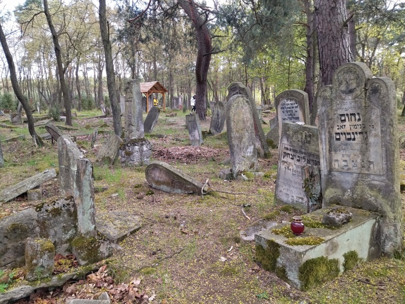 Anielin Cmentarz Żydowski 03