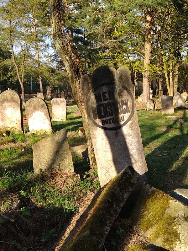 Anielin Cmentarz Żydowski 05