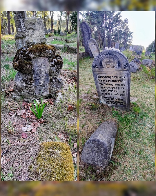 Anielin Marlena Karczewska 02