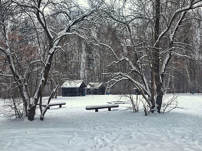 Polana piknikowa Zimne Doły