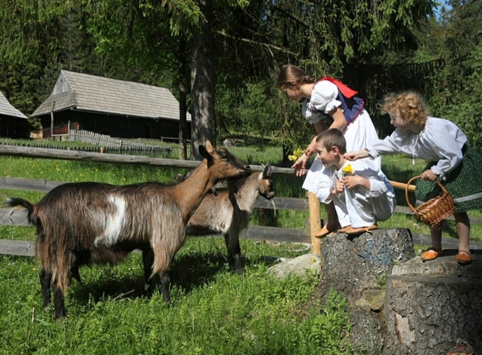 Słowacja Skansen Orawski