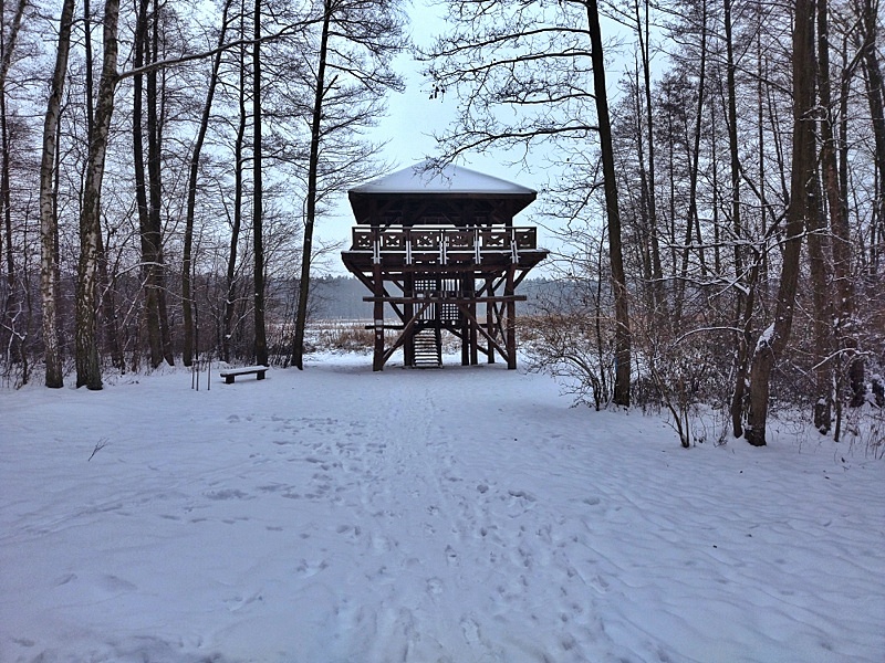 Wieża widokowa Zimne Doły
