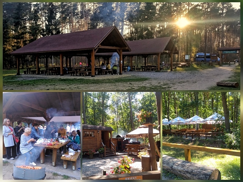 Królewskie Źródła polanka piknikowa