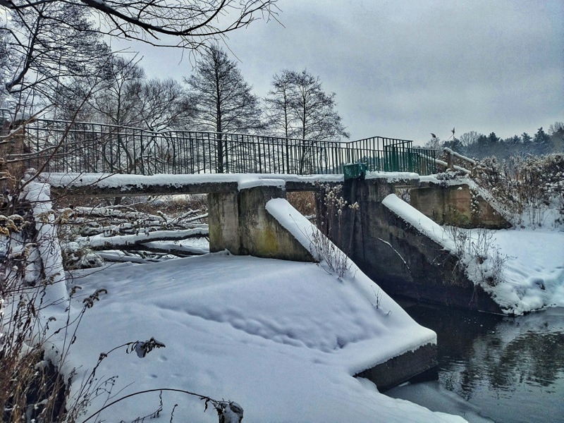 Zalesie Górne rzeka Czarna
