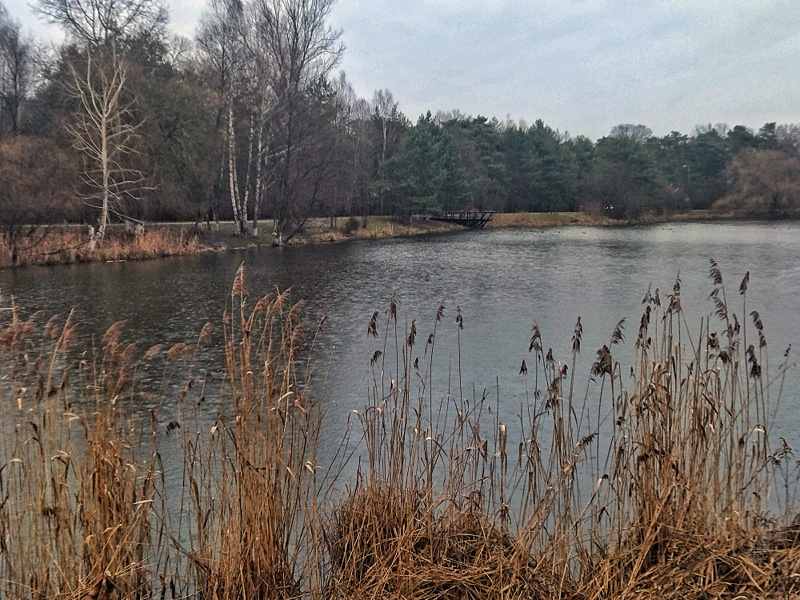 Piaseczno Górki Szymona stawy w Dolinie Jeziorki
