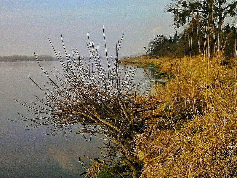 Czerwińsk brzeg Wisły