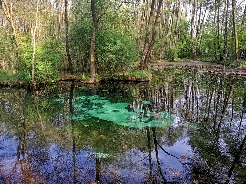 Niebieskie Źródła 02