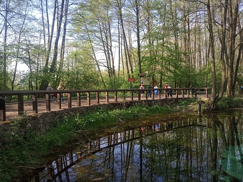 Niebieskie Źródła 03