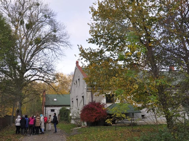 Konstancin Obory stajnie