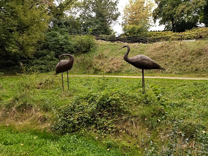 Park Fosa Ptaki Wodne