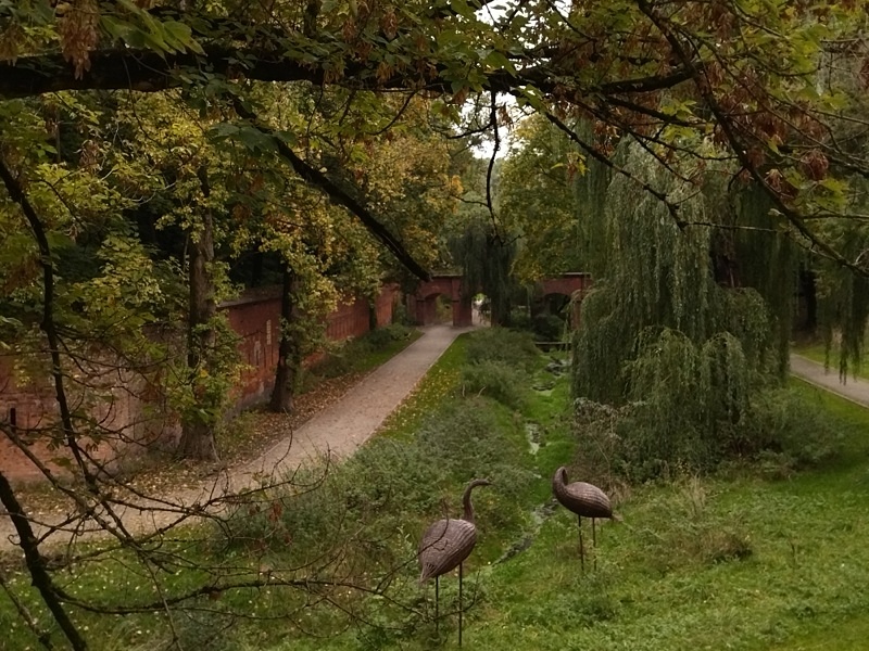 Park Fosa Ptaki wodne