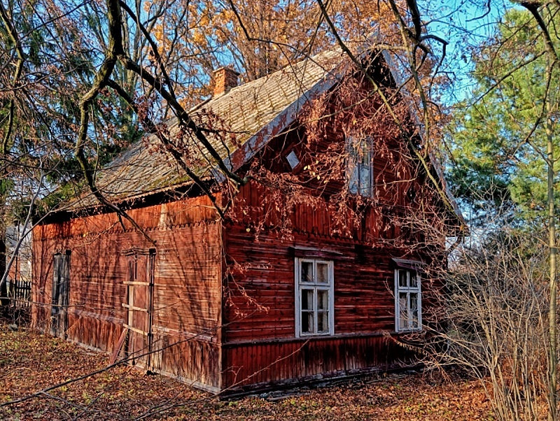 Chrzęsne relikty zabudowy drewnianej